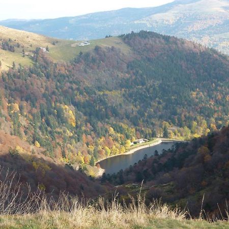 Chalet Trois Etoiles Xonrupt-Longemer Kültér fotó